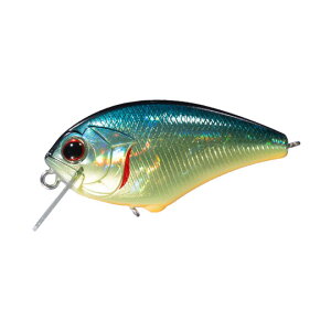 I[GXs[@ubcSSR@OSP BLITZ SSR