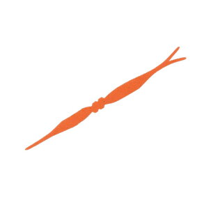 WbJ@SLJlN^C@JACKALL SLJ