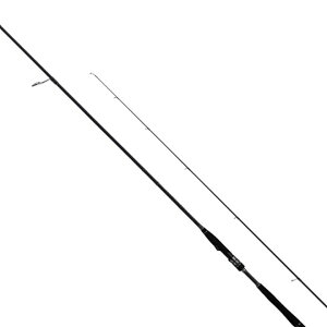 eCEH[N@nC^Ch@SSD@83MH@tailwalk