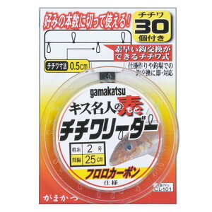 ܂ LXlmf``[_[30 CL101 25cm