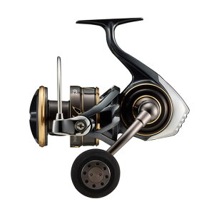 _C 22 JfBA SW 8000-P DAIWA