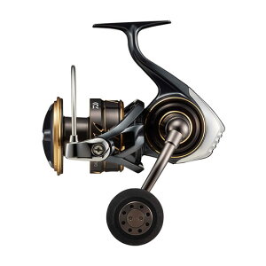 _C 22 JfBA SW 10000-P DAIWA