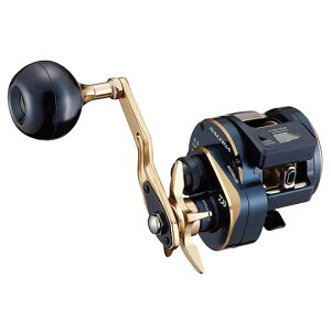 _C 21 \eBK IC 300/300L DAIWA