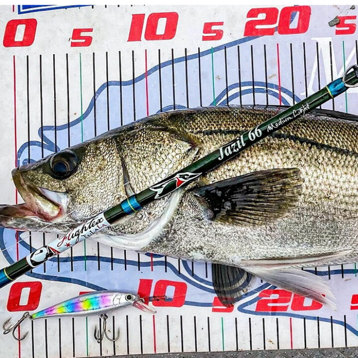 楽天市場】ツララ ジャジル 66ML ベイト TULALA Jazil : Lure＆Boats 