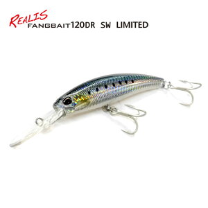 yS10FzfI@AX@t@OxCg 120DR SW