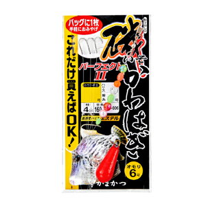 ܂@41-006 JnMp[tFNgd|2