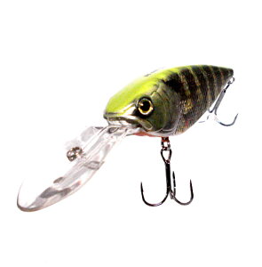 fvX@JXJx@DC-400@deps CASCABEL y1z