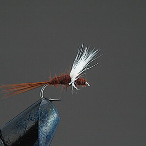 o[q@ihCtC@D1 Rp_@Valleyhill@COMPLETE FLY@