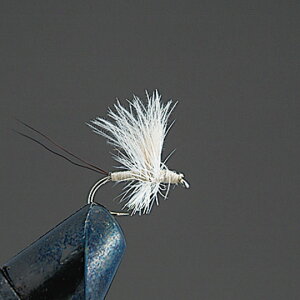 o[q@ihCtC@D3 CDC\bNX_ CR@Valleyhill@COMPLETE FLY@