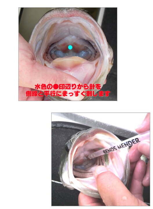 楽天市場 ベンズメンダー エア抜き針 Bends Mender Lure Boats Back Lash
