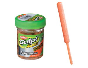 o[NC@KvIACu xr[T[fB 2C`@p[zCg@Berkley@Gulp! ALIVE! Baby Sardine@