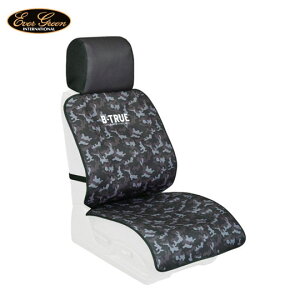 Go[O[@r[gD[@^tlXV[gJo[@EVERGREEN@B-TRUE