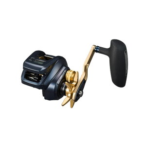 _C@eBG@LJ IC 300HL@DAIWA@