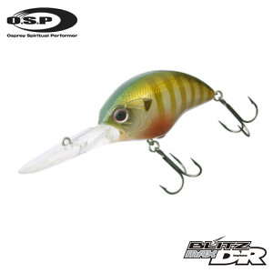 yS11FzI[GXs[@ubc}bNX@fB[vi[@OSP@BLITZ MAX DR y2z