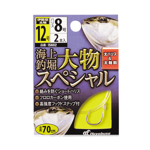 nuT@IS602@Cޖx@t@啨XyV@Hayabusa@