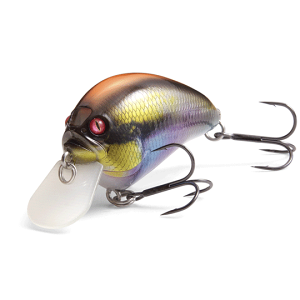 メガバス　アイバイアイ ブローリー　7個セット　新品 Megabass（メガバス） IxIブローリー（アイバイアイ ブローリー