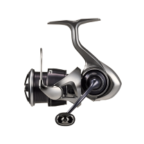 Daiwa BALLISTIC FW LT2500S-C Spinning Reel | eBay