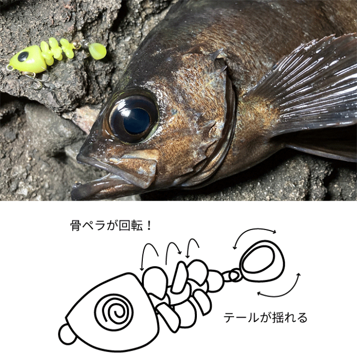 No.251 魚骨 44D 6個 楽天市場】【全6色】ブリーデン 魚骨 ギョコツ 44ディープタイプ