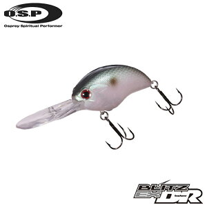 yS17FzI[GXs[@ubcGNXgDR@OSP@BLITZ EX DR@y2z