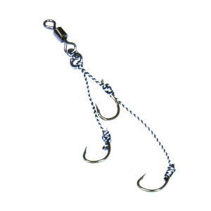 NCW[I[V@J`bƃ^Co@ߎtbN@S/M@Crazy Ocean@