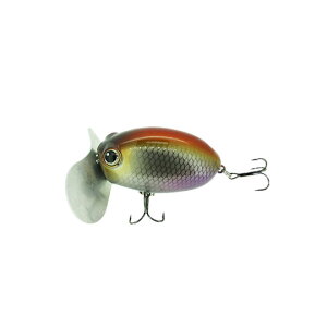 yS6FzUNgNtg@UOi@oXf@ZacTcraft@Zaguna@