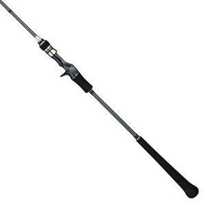 eCEH[N@L-WM[YSSD@C632@tailwalk@L-JIGGYS SSD@