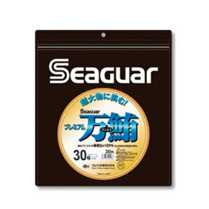 V[K[@v~A@60@30m@SEAGER@