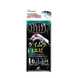 nuT@AW PCGrHayabusa@