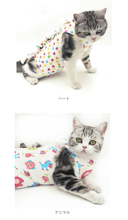 猫 術後服 好評 傷舐め防止 服 ねこ 手術後 エリザベスカラー の代用 洋服 ウェア 術後ウェア 皮膚保護 s m l サイズ つなぎ ロンパース かわいい 術後ウェア 猫用 ネコ 犬用 いぬ ペット グッズ ペット用品 : BACKYARD FAMILY バッグタウン 猫 術後服 好評 傷舐め防止 服 ねこ 手術後 エリザベスカラー の代用 洋服 ウェア 術後ウェア 皮膚保護 s m l サイズ つなぎ ロンパース かわいい 術後ウェア 猫用 ネコ 犬用 いぬ ペット グッズ ペット用品 : BACKYARD FAMILY バッグタウン