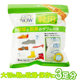 靴用消臭剤 DRY NOW ドライナウ 通販 靴用 除湿剤 70g 6パック 3足分 靴専用 脱臭 乾燥 ニオイ対策 繰り返し 運動靴 ブーツ レディース メンズ キッズ 活性炭 シリカゲル 消臭 調湿