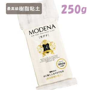 �S�y ���f�i �z���C�g 250g �p�W�R PADICO �D�] �����S�y ���������S�y �����S�y �f�R���[�W�� �N���C�N���t�g �N���t�g �˂�� �H�� �w�Z ���ǂ� �q�� �ޗ� �}�J���� �p�W�R ��v