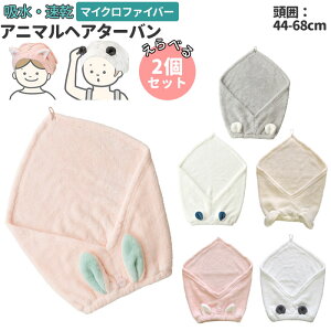 ^[o 2 D] wAoh LbY wA^[o C փA^I  փALbv }CNt@Co[ ^I 킢 [EGA fB[X v[ObY   z 