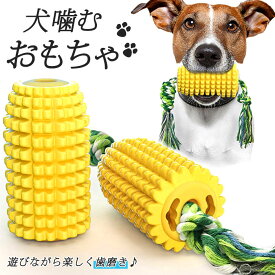 犬 歯磨き おもちゃ 好評 玩具 壊れにくい いぬ デンタルケア 歯みがき ストレス解消 かわいい 犬用 犬用品 ペットトイ 中型犬 大型犬 ペット用歯ブラシ 噛むおもちゃ とうもろこし 丈夫