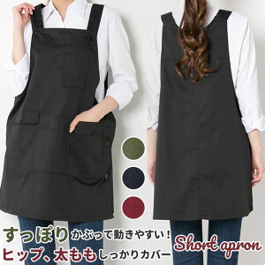 Gv  ʔ Gv i` fB[X h^ s[X  ubN lCr[ bh J[L |Pbg  ۈm JtF  Cxg n 