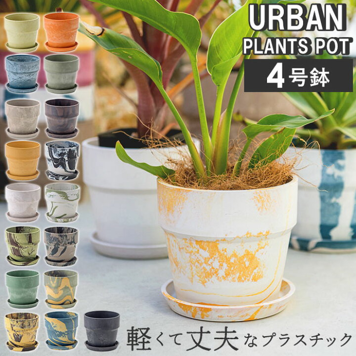 楽天市場 プラスチック おしゃれ 好評 かわいい 小型 鉢 4号 軽い 植木鉢 室内 植木 鉢植え ポット 約 13cm アーバンプランツポット 多肉植物 植物 フラワー 鉢花 園芸 花 プランター ブランド ポッシュリビング Backyard Family バッグタウン