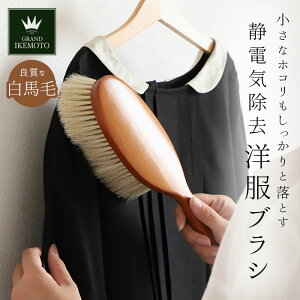 OhCPg muV yV 傫 ÓdC n uV GRAND IKEMOTO xlTCY ق v[g  X[c ؐ VR uV ÓdC r{q { IKC3822 IKC3822