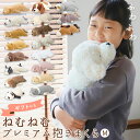 抱き枕 ぬいぐるみ 好評 ねむねむアニマルズ M 抱きまくら まくら 枕 クッション だきまくら プレミアムねむねむアニマルズ 寝具 LIV HEART りぶはあと 癒し系 動物 ネコ 猫 ねこ 犬 いぬ イヌ 可愛い グッズ