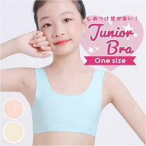 女子小学生 パイチラ 