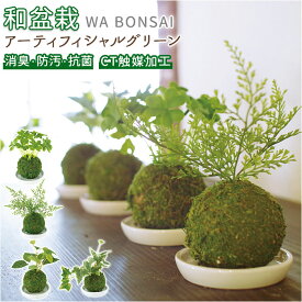 消臭 フェイクグリーン 盆栽 好評 人工観葉植物 観葉植物 フェイク 卓上 小さい こけだま 苔玉 インテリア グリーン ナチュラル 空気清浄 触媒 CT触媒 和盆栽 WA BONSAI 消臭アーティフィシャルグリーン フェイクグリーン 造花 花 観葉植物