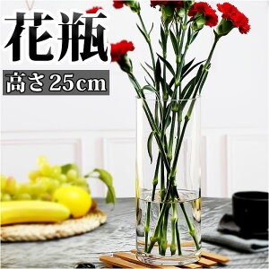 t[x[X ԕr KX D] ֑} Ԃт т  Ԋ 傫 傫 ~ KXr hCt[ _ k   CeA Vv NA Q rO