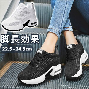 Xj[J[ fB[X  D] Xj[J[ Cq[Xj[J[ V[Y V[NbgV[Y C EH[LOV[Y nCJbgXj[J[ nCJbg Cq[