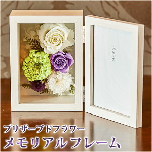 y12܂Ŏt vU[uht[  D]  ʐ^ At[ {bNX Mtg e z t[ AWg     dp d @ 