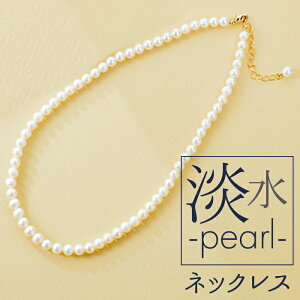 lbNX T D] ANZT[  Tz NL-0531 Wp[AȂVvlbNX VR ^ ꂢ tH[} Ǝ  i  킢 Vv l