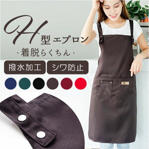 Gv fB[X Y D] ۈm JtFGv  IV |Pbgt ͂  jp Vv JWA h^ H^ ꂢ 킢  Lb`  n 