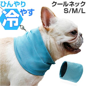  N[lbN D] lbNN[[ ۗ p o_i  N[lbNO ڐG⊴ ΍ MǑ΍  y y p  Ck Ђ  ̕ ėp  ΍