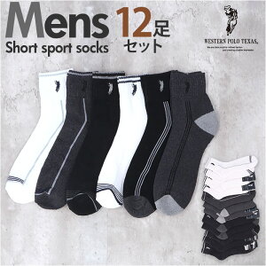 C Y 12g D] X|[c\bNX \bNX C V[g\bNX  amC ANbg\bNX AN\bNX Y\bNXZbg  25`27cm  I