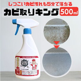 カビ取りキング 好評 かび取り剤 カビ取り剤 カビ取り スプレー お風呂 浴室 洗面台 トイレ キッチン 排水口 排水溝 外壁 ベランダ ウッドデッキ 窓枠サッシ 木材柱 コケ汚れ 黒ずみ 掃除 掃除用品 掃除用洗剤 洗剤 クリーナー 日用消耗品 日用品雑貨