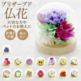 お供え ガラスドーム 供養 仏花 好評 プリザーブドフラワー フラワーアレンジメント プリザードフラワー 供え花 献花 飾り 手のひらサイズ ドーム ドームタイプ 仏壇用 お盆 花 フラワー 枯れない 長持ち 四季 暦 進物 法要 かわいい 可愛い