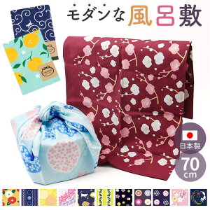 ݂̑啗C~ 啗C~ C~ D] 啗C~ { C~ C~ ӂ낵 GRobO GRobN obO obN bsO 100 a a  70cm 킢  