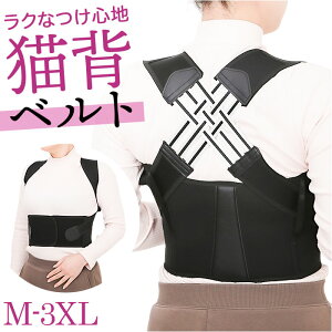 T|[^[ xg D] j  Lw  fB[X Y p w Lw w؋ pxg l O q ǂ Xgb` Lk Vv b ObY